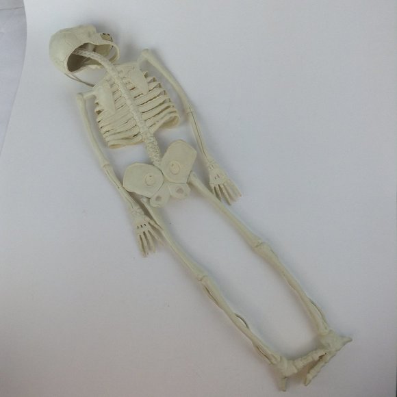 Vintage Halloween Hanging Skeleton 23" - Picture 6 of 13
